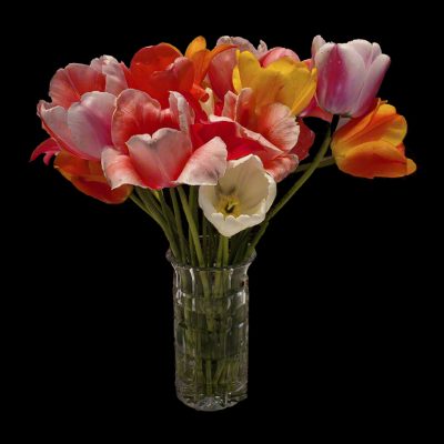 Colin flowers in vase