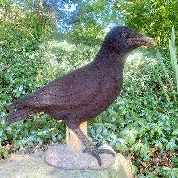 rachel gerowe crow